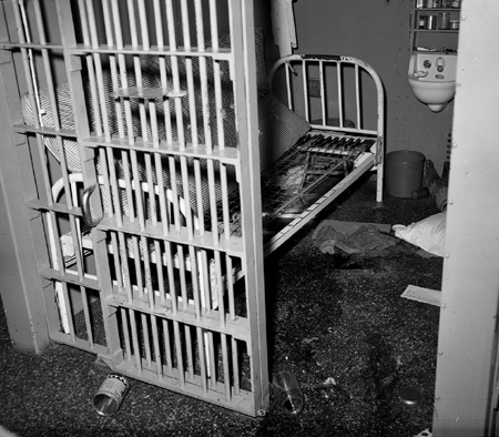 15_33_interior cell_0368