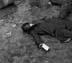 15_11_dead guy in coat w_tag_0249