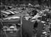 15_21_yard in decimation 2_0344