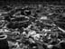 15_21_yard in decimation3_0343
