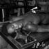 15_24_dead man on metal table_0350