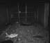 15_2_cell , blood on floor_0244