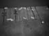 15_3_evidence, bats_0310