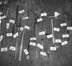 15_3_hammers, screwdrivers_0318
