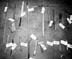 15_3_tagged knives, hammers_0328