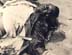 bob_corpse w disfigured eyes copy