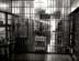 interiors_cell door copy
