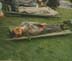 skip jones on stretcher_0177