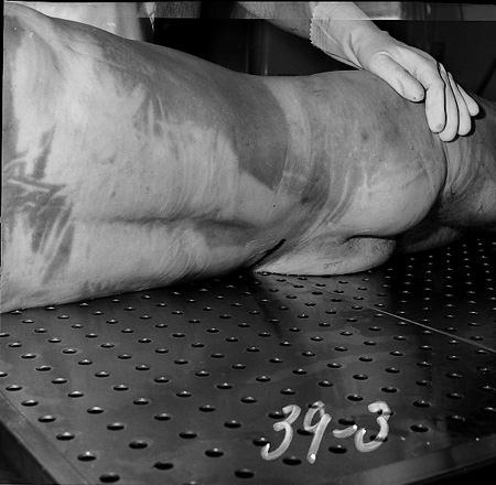 15_28_autopsy_bloody back_0355