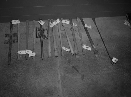15_3_evidence, bats_0310